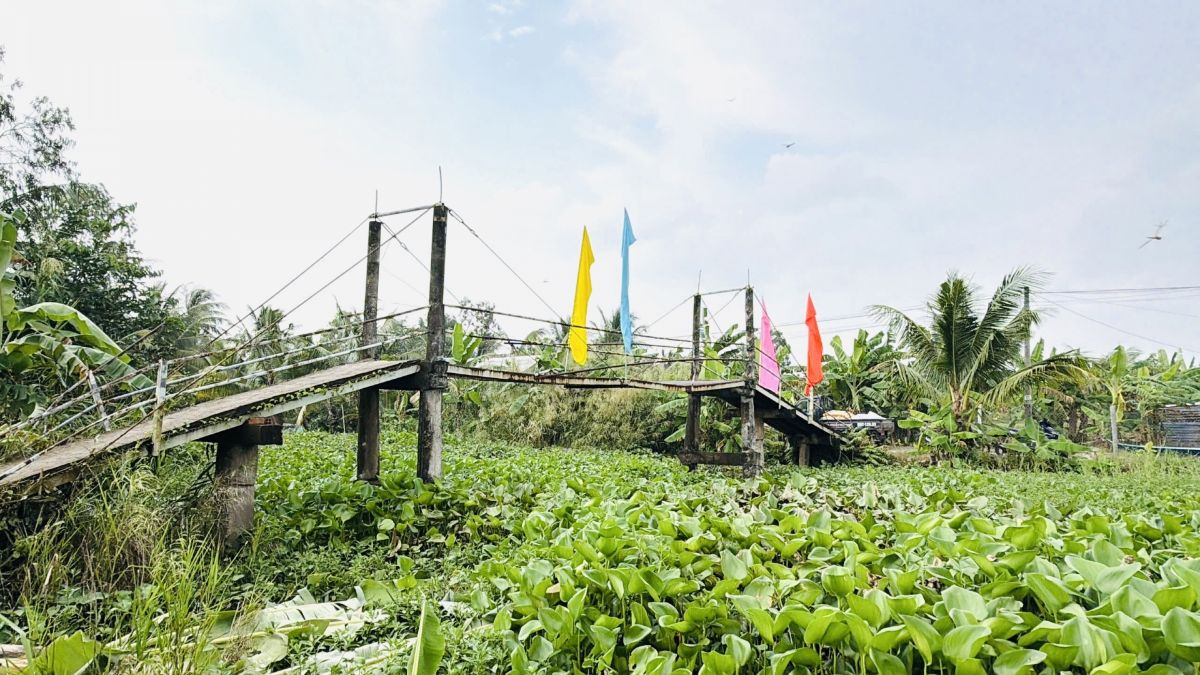 nu doanh nhan an giang noi nhung bo vui nam 2026 1